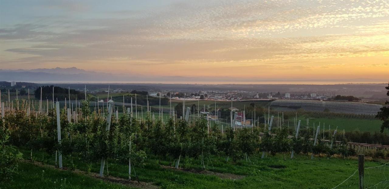 Ferienwohnung Stryck Tettnang Zewnętrze zdjęcie